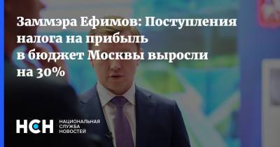 Владимир Ефимов - Заммэра Ефимов: Поступления налога на прибыль в бюджет Москвы выросли на 30% - nsn.fm - Москва