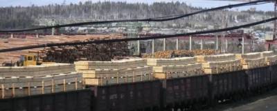 В Иркутске возбудили 15 уголовных дел за контрабанду леса - runews24.ru - Россия - Китай - Иркутская обл. - Иркутск
