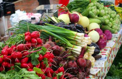 Сельхозпроизводство Львовщины возросло за счет овощей - agroportal.ua - Украина - Львовская обл.