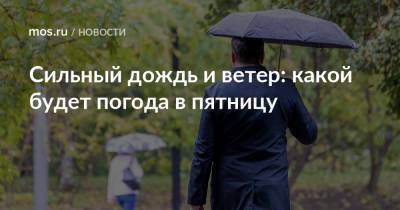 Сильный дождь и ветер: какой будет погода в пятницу - mos.ru - Москва