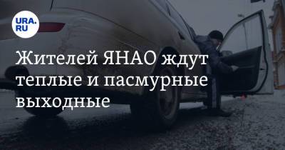 Жителей ЯНАО ждут теплые и пасмурные выходные - ura.news - окр. Янао