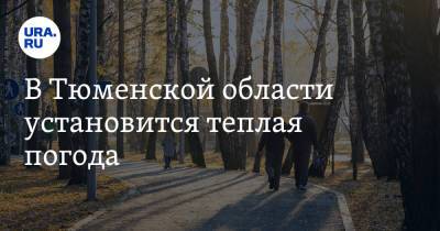В Тюменской области установится теплая погода - ura.news - Тюменская обл.