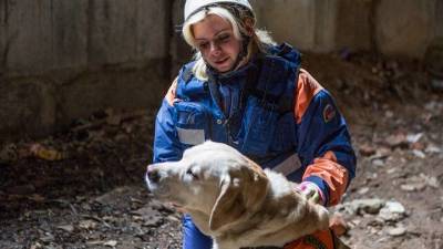 Служебные собаки в Москве помогли спасти 25 человек в этом году - vm.ru - Москва