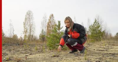 «Святогор» высадил 140 тысяч хвойных деревьев - profile.ru - Красноуральск