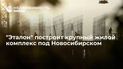 Девелопер "Эталон" построит крупный жилой комплекс под Новосибирском - realty.ria.ru - Москва - Новосибирск - Новосибирская обл. - Строительство