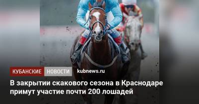 В закрытии скакового сезона в Краснодаре примут участие почти 200 лошадей - kubnews.ru - Россия - Краснодар