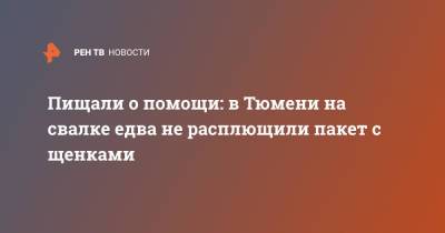 Пищали о помощи: в Тюмени на свалке едва не расплющили пакет с щенками - ren.tv - Тюмень - Тюменская обл.