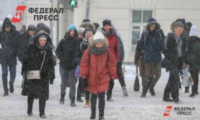 Тюменцам пообещали снегопад на следующей неделе - fedpress.ru - Тюмень