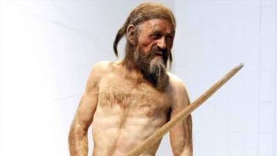 «Вегетарианцы — тупиковая ветвь человечества». На какой пище сформировался Homo sapiens (4 фото) - skuke.net - Россия
