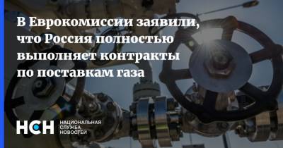 Франс Тиммерманс - В Еврокомиссии заявили, что Россия полностью выполняет контракты по поставкам газа - nsn.fm - Россия - Китай - Германия - Болгария - Европа
