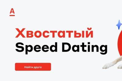 Хвостатый Speed Dating: банк поможет найти друга - mkivanovo.ru