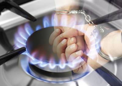 Ирина Волк - В Москве задержаны мошенники, пугавшие пенсионеров отключением газа - mskgazeta.ru - Москва - Россия - окр. Западный