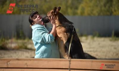 Владикавказцы мешают властям решать проблему с бездомными животными - fedpress.ru - Владикавказ