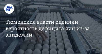 Владимир Чейметов - Тюменские власти оценили вероятность дефицита яиц из-за эпидемии - ura.news - Россия - Тюменская обл.