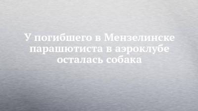 У погибшего в Мензелинске парашютиста в аэроклубе осталась собака - chelny-izvest.ru - Набережные Челны - Мензелинск