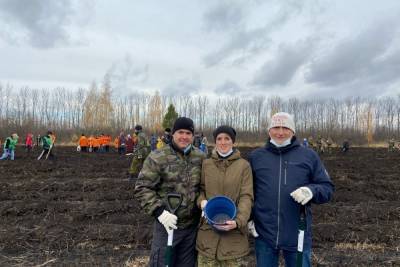 В Пензенском районе высадили 100 кг желудей - mk.ru - Пензенская обл. - район Пензенский