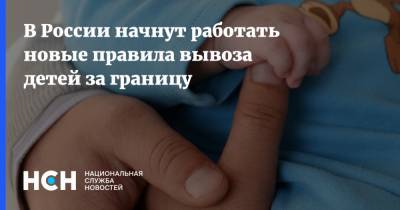 В России начнут работать новые правила вывоза детей за границу - nsn.fm - Россия