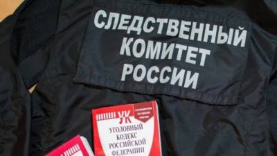 Дело нижегородского подростка, потерявшего зрение в драке за младшеклассника, передано в СК - vgoroden.ru - Россия - Нижегородская обл. - Нижний Новгород - Следственный Комитет