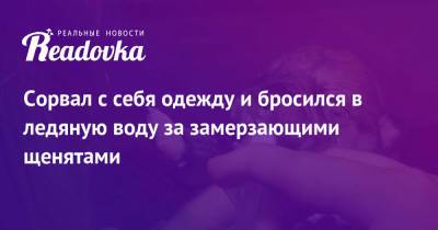 Сорвал с себя одежду и бросился в ледяную воду за замерзающими щенятами - readovka.ru - Енисейск