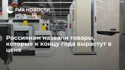 Мария Долгова - Эксперт Долгова: к концу 2021 года сильнее всего подорожает бытовая техника и автомобили - ria.ru - Москва - Россия