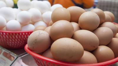 Анна Ивашкевич - Нутрициолог рассказала, кому нельзя есть яйца - mir24.tv