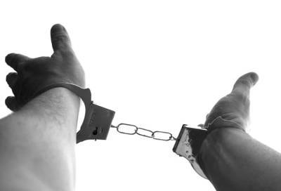 Завершено расследование дела о похищении 25 человек сотрудниками реабилитационного центра в Новосибирске - online47.ru - Ленинградская обл. - Новосибирск
