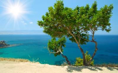 Третья авария на опасной дороге Акамаса - vkcyprus.com - Франция - Кипр