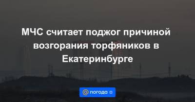 МЧС считает поджог причиной возгорания торфяников в Екатеринбурге - news.mail.ru - Россия - Екатеринбург - Свердловская обл.