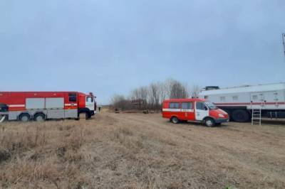 МЧС: возгорание торфяников в Екатеринбурге могло произойти из-за поджога - aif.ru - Россия - Екатеринбург