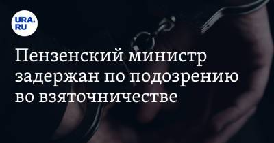 Пензенский министр задержан по подозрению во взяточничестве - ura.news - Россия - Пензенская обл. - Пенза