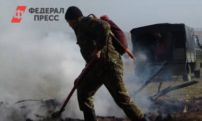 Названа причина горения торфяников под Екатеринбургом - fedpress.ru - Москва - Екатеринбург