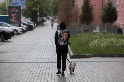 В Магнитогорске жители рассказали о стрельбе по собаководу - znak.com - Магнитогорск