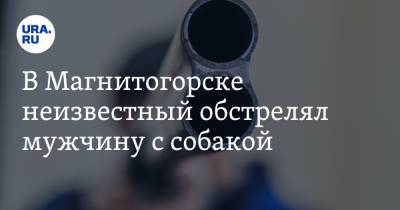 В Магнитогорске неизвестный обстрелял мужчину с собакой - ura.news - Челябинская обл. - Магнитогорск