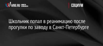 Школьник попал в реанимацию после прогулки по заводу в Санкт-Петербурге - ivbg.ru - Россия - Украина - Санкт-Петербург