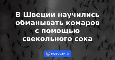 В Швеции научились обманывать комаров с помощью свекольного сока - news.mail.ru - Швеция - Стокгольм