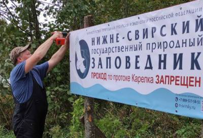 В Нижне-Свирском заповеднике продолжается обновление пограничных знаков - online47.ru