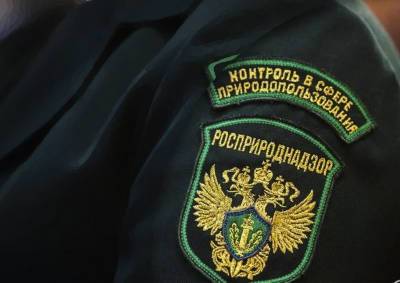 Светлана Радионова - Глава Росприроднадзора уличила «Соврудник» в систематическом занижении платежей по НВОС - mskgazeta.ru - Красноярский край