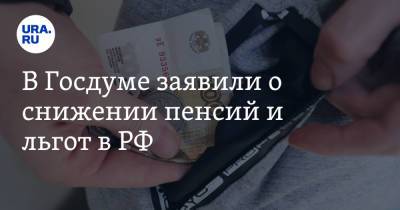 Екатерина Стенякина - В Госдуме заявили о снижении пенсий и льгот в РФ - ura.news - Россия