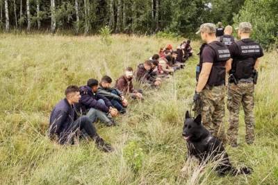 За прошедшие сутки в страны ЕС не впустили 646 нелегальных мигрантов со стороны Беларуси - naviny.by - Молдавия - Грузия - Белоруссия - Турция - Германия - Румыния - Ирак - Польша - Литва - Болгария - Тунис - Латвия