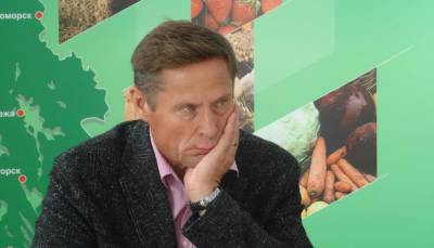Артур Парфенчиков - Владимир Лабинов - Лабинов отчитался перед вологодским комбинатом после совещания в Ильинском - gubdaily.ru - Вологодская обл. - республика Карелия
