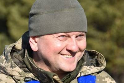 Валерий Залужный - Главком ВСУ Залужный заявил о готовности умирать и убивать - mk.ru - Украина