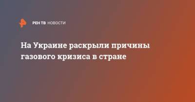Андрей Коболев - На Украине раскрыли причины газового кризиса в стране - ren.tv - Украина