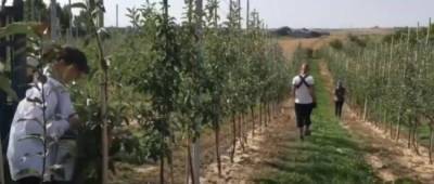 В Польше вырос спрос на украинских заробитчан: сколько готовы платить - w-n.com.ua - Украина - Польша
