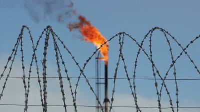 Евгений Мураев - В Киеве назвали общую выгоду «Газпрома» и Украины - iz.ru - Украина - Киев - Израиль