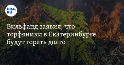 Роман Вильфанд - Вильфанд заявил, что торфяники в Екатеринбурге будут гореть долго - ura.news - Екатеринбург - Челябинская обл. - Свердловская обл. - окр. Уральский