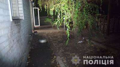 В Харькове пять мастифов загрызли пенсионерку - vchaspik.ua - Украина - Харьков - район Новобаварский, Харьков