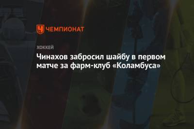 Егор Чинахов - Чинахов забросил шайбу в первом матче за фарм-клуб «Коламбуса» - championat.com - Россия - США - Омск - шт. Аризона