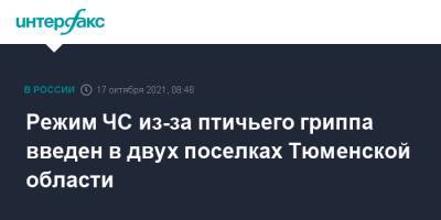 Александр Моор - Режим ЧС из-за птичьего гриппа введен в двух поселках Тюменской области - interfax.ru - Москва - Тюменская обл. - Боровский