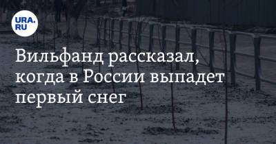Роман Вильфанд - Вильфанд рассказал, когда в России выпадет первый снег - ura.news - Россия