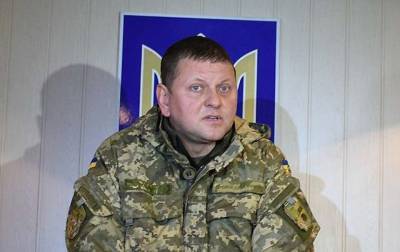 Валерий Залужный - Главком ВСУ объяснил украинцам, что такое настоящий патриотизм - lenta.ua - Украина